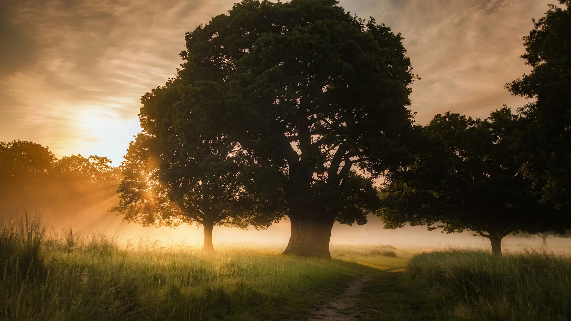 Simon wilkes M2 F Yipesw N8 unsplash