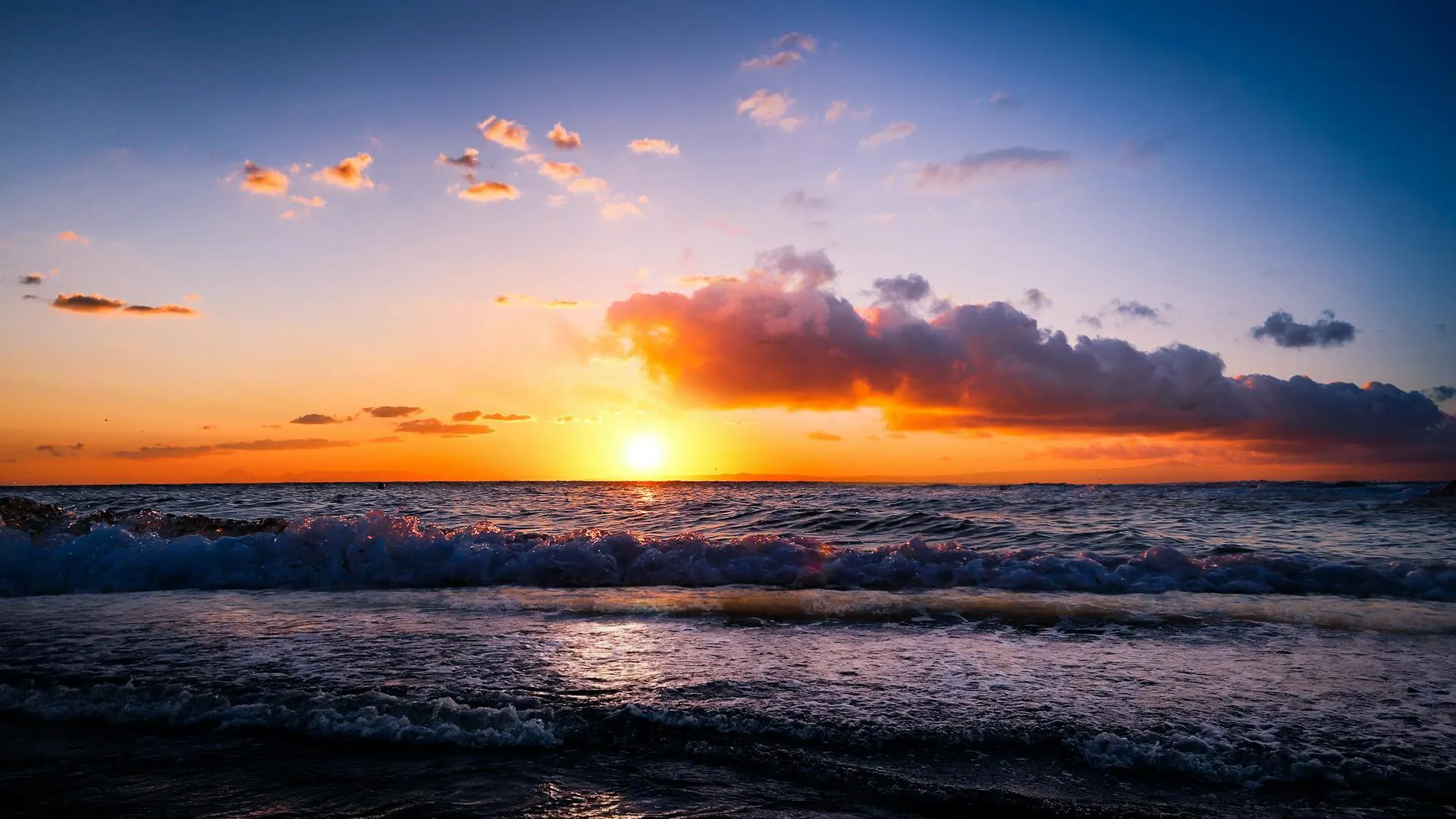 Pexels kienvirak 5498976